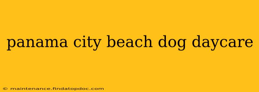 panama city beach dog daycare