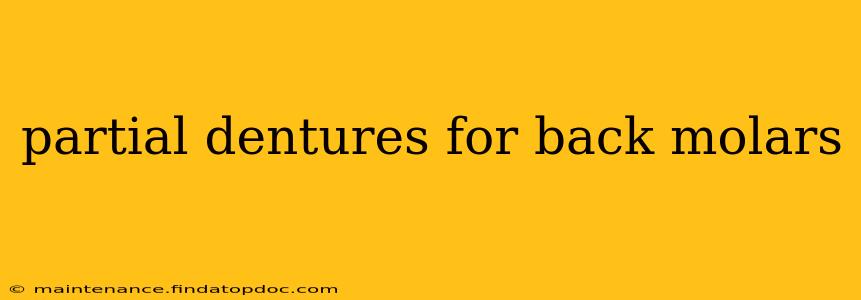 partial dentures for back molars