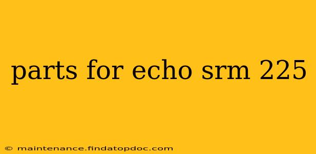 parts for echo srm 225
