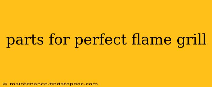 parts for perfect flame grill