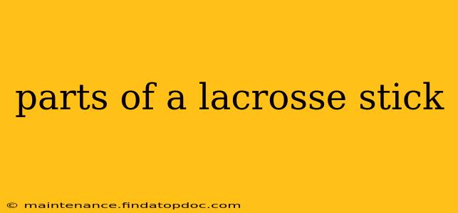 parts of a lacrosse stick