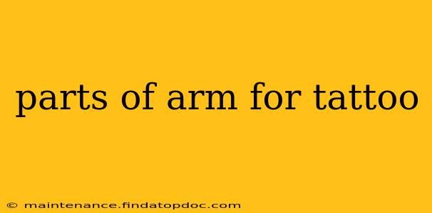 parts of arm for tattoo