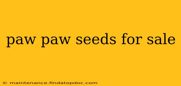paw paw seeds for sale