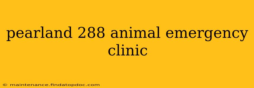 pearland 288 animal emergency clinic