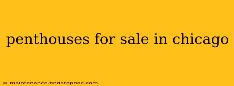penthouses for sale in chicago