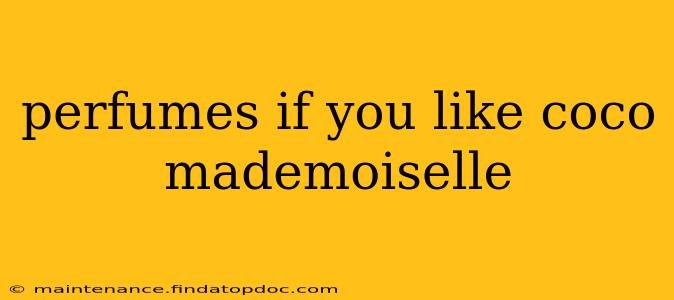 perfumes if you like coco mademoiselle