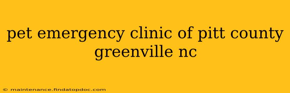 pet emergency clinic of pitt county greenville nc