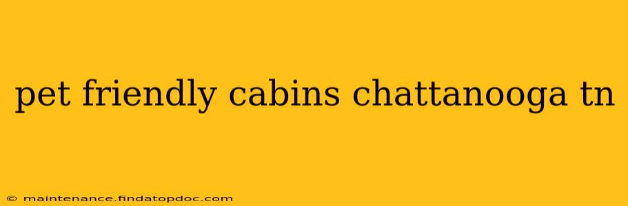 pet friendly cabins chattanooga tn