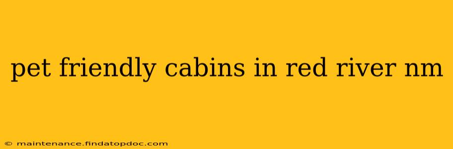 pet friendly cabins in red river nm