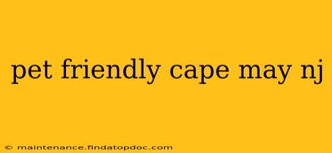 pet friendly cape may nj