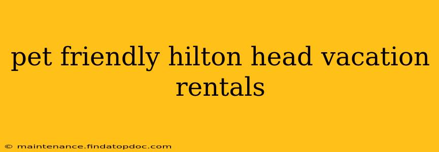 pet friendly hilton head vacation rentals