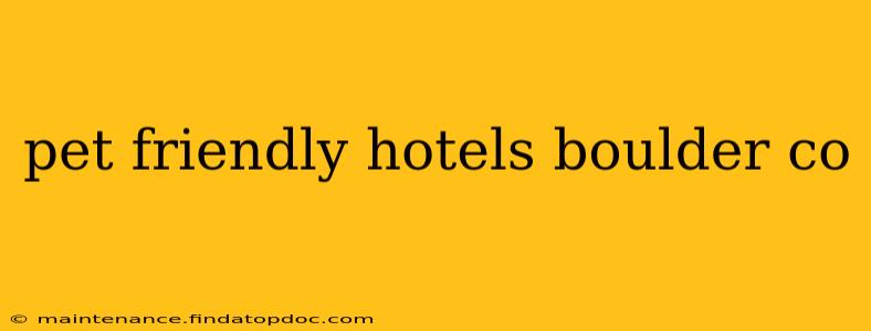 pet friendly hotels boulder co