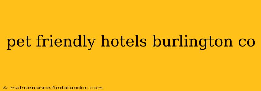 pet friendly hotels burlington co