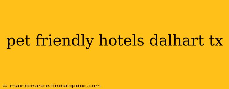 pet friendly hotels dalhart tx