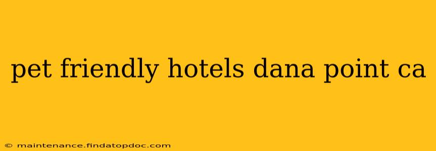 pet friendly hotels dana point ca