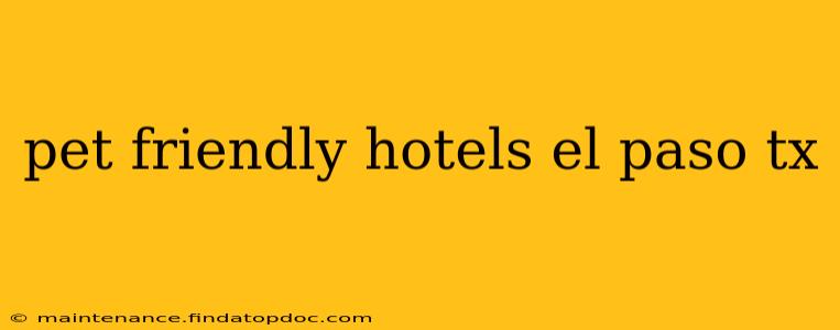pet friendly hotels el paso tx