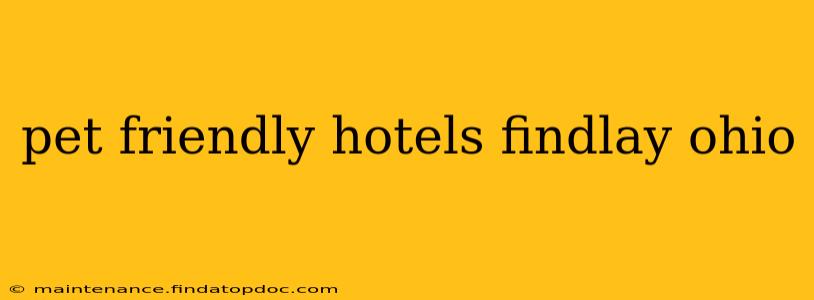 pet friendly hotels findlay ohio