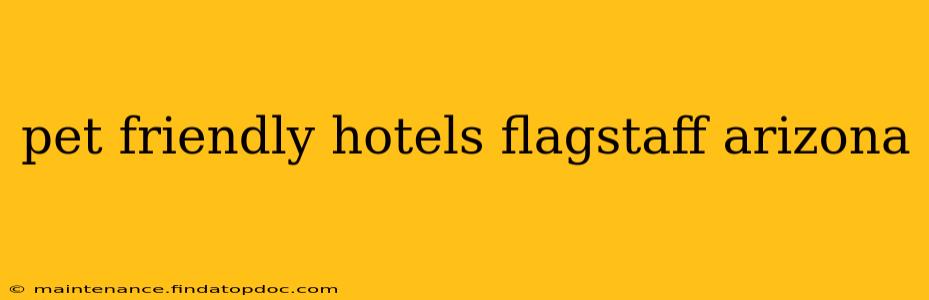 pet friendly hotels flagstaff arizona