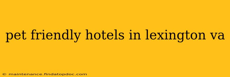 pet friendly hotels in lexington va