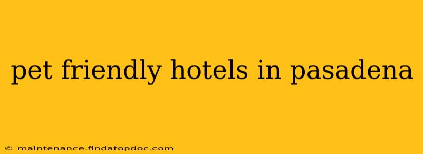 pet friendly hotels in pasadena