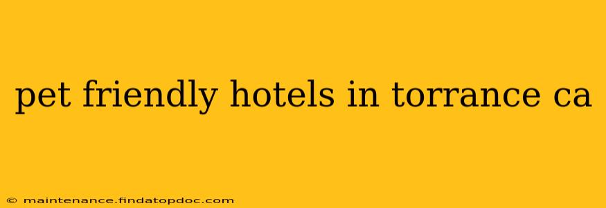 pet friendly hotels in torrance ca
