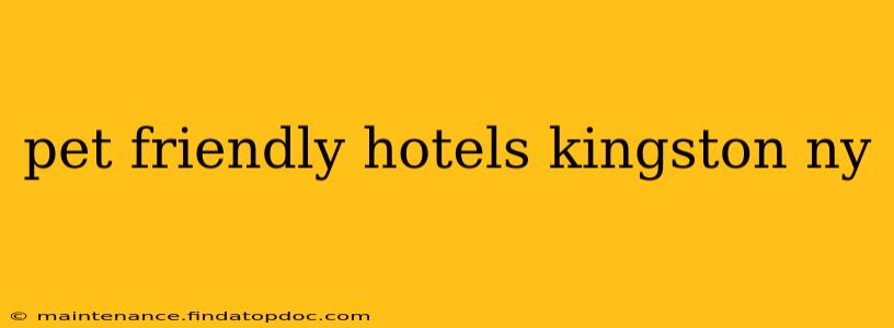 pet friendly hotels kingston ny