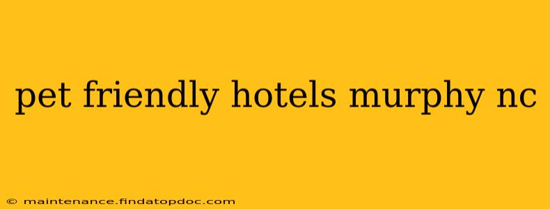 pet friendly hotels murphy nc