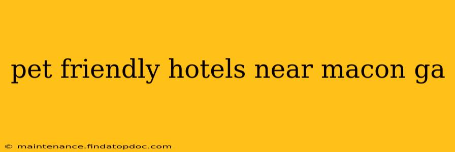 pet friendly hotels near macon ga