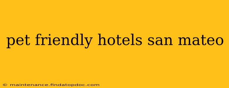 pet friendly hotels san mateo