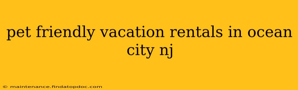 pet friendly vacation rentals in ocean city nj
