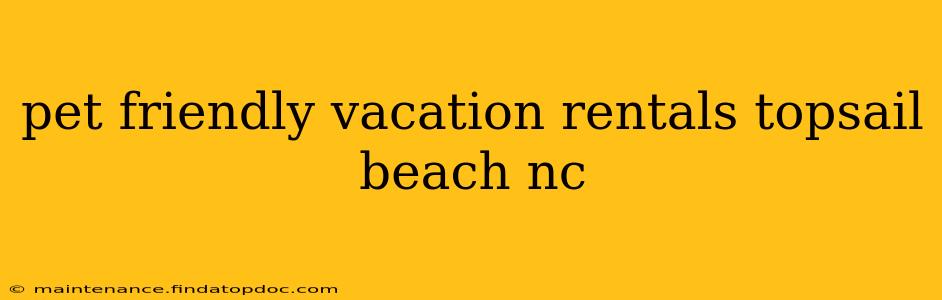 pet friendly vacation rentals topsail beach nc