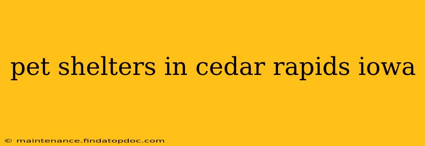 pet shelters in cedar rapids iowa