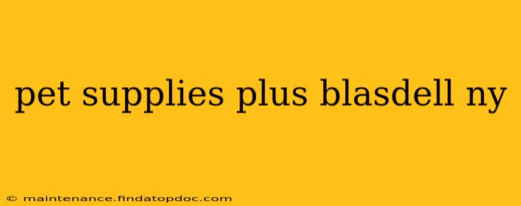 pet supplies plus blasdell ny