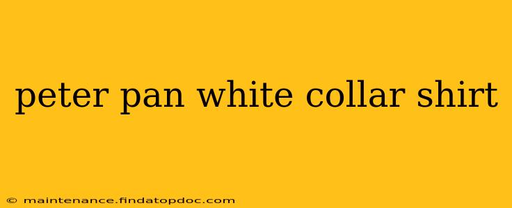 peter pan white collar shirt