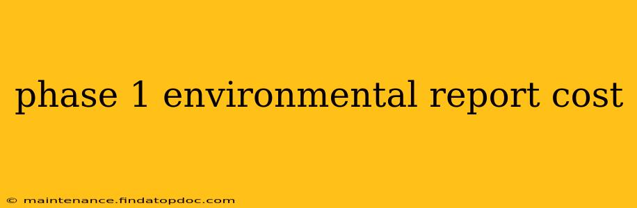 phase 1 environmental report cost