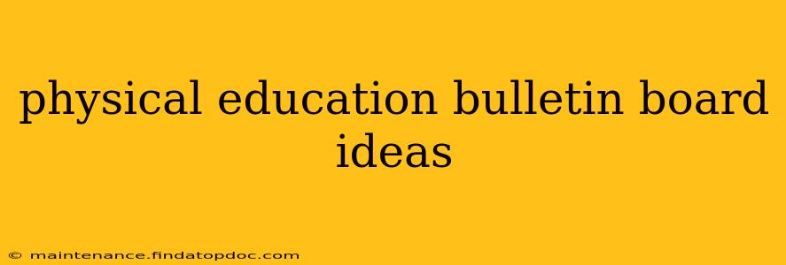 physical education bulletin board ideas