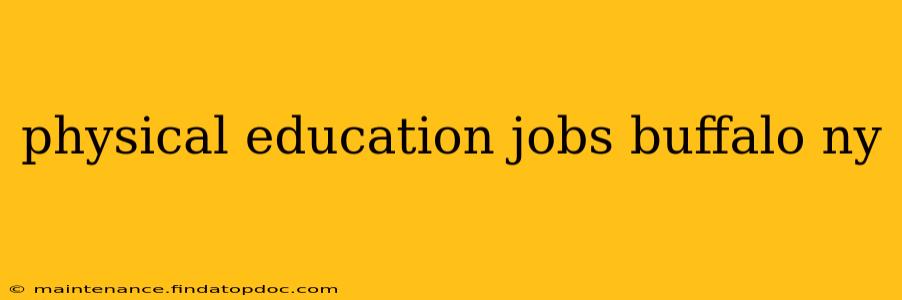 physical education jobs buffalo ny