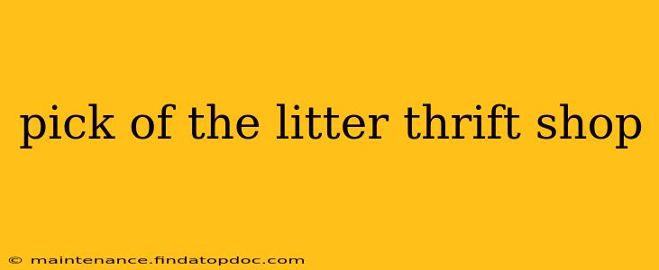 pick of the litter thrift shop