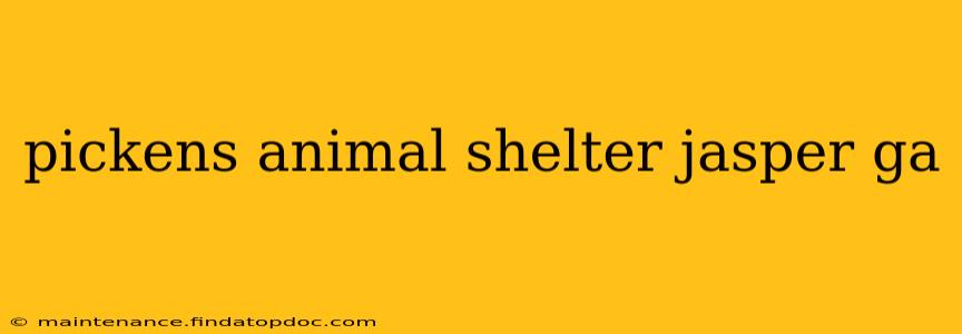 pickens animal shelter jasper ga