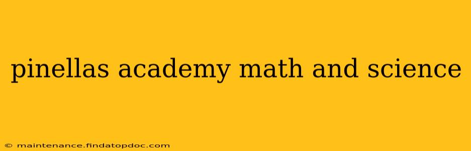 pinellas academy math and science