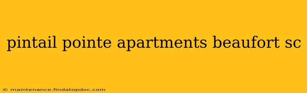 pintail pointe apartments beaufort sc