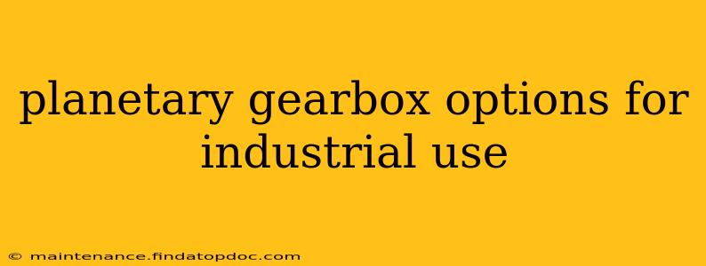 planetary gearbox options for industrial use