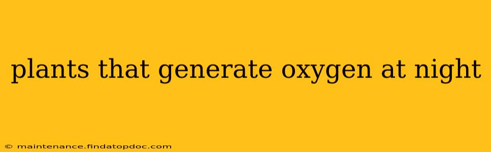 plants that generate oxygen at night