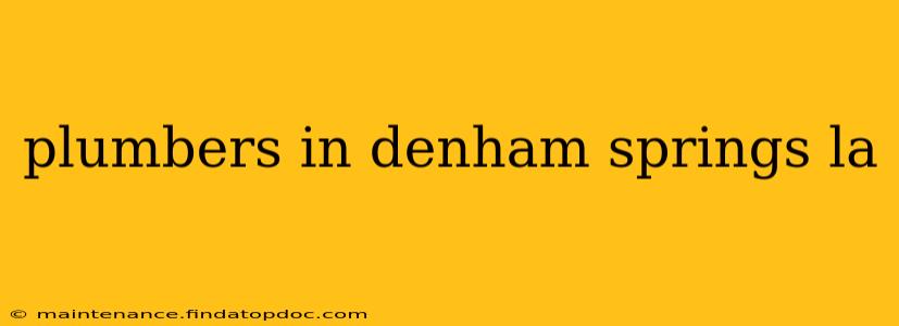 plumbers in denham springs la