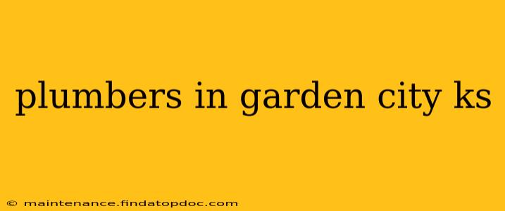 plumbers in garden city ks