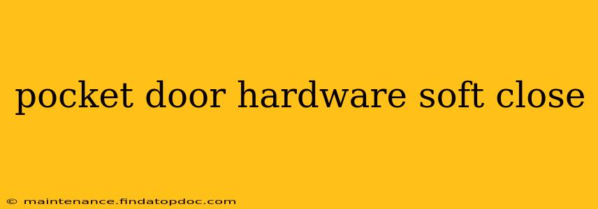 pocket door hardware soft close