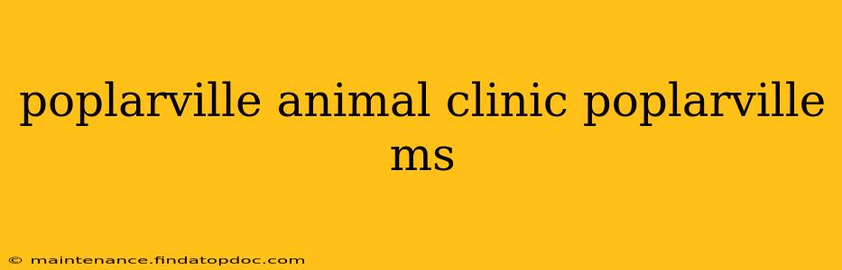 poplarville animal clinic poplarville ms