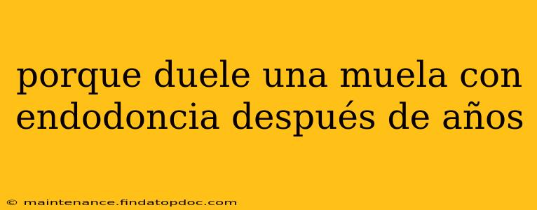 porque duele una muela con endodoncia después de años