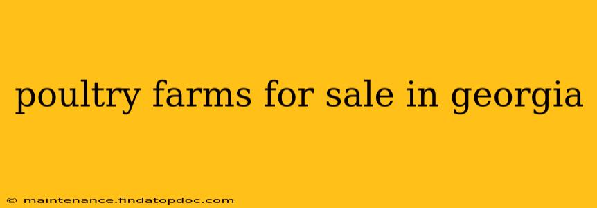 poultry farms for sale in georgia