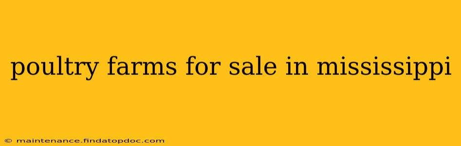 poultry farms for sale in mississippi